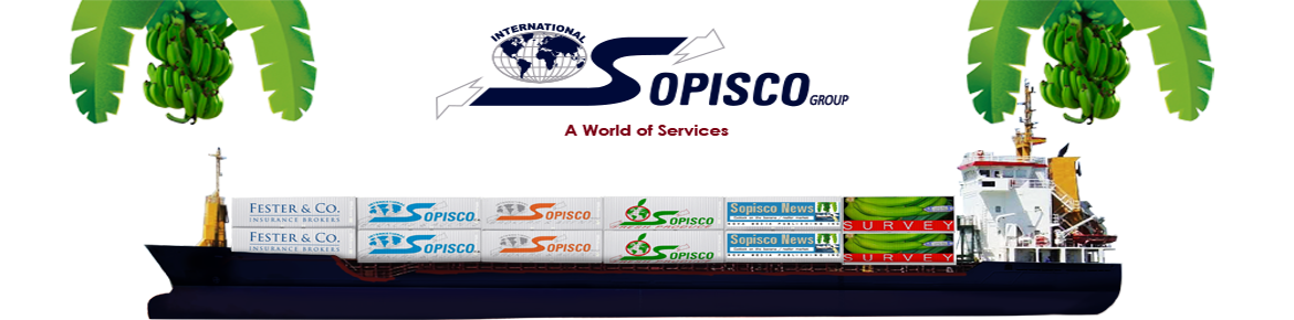 worldofservices5